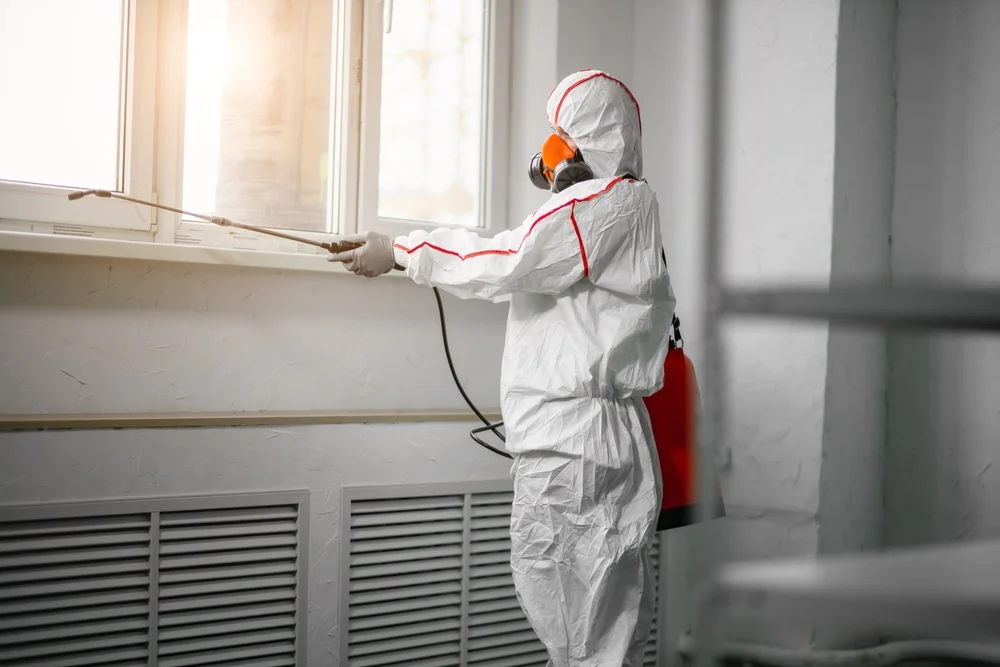 Professional mold remediation services in Loogootee, IN